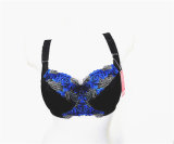 New Arrival Sexy Lace Big Size Bra Set for Lady (CS9933)