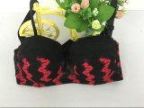 Beautiful Embroidery Hot Sexy Underwear CS621