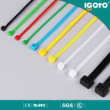 Ce RoHS Certificated PA66 Standard Size Nylon Cable Tie