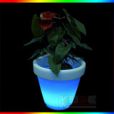 Hot Selling Creative Fashion Modern Romantic Flowerpot Table Lamp