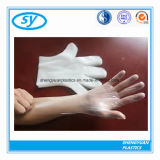 Clear Food PE Glove for Adults