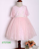 Latest Pink Tulle Embroidery Smocked Princess Dress