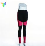 New Design Yoga Clothing High Waist Yoga Pants Running Leggings Exercise