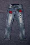 Women's Rose Embroidered High Waist Ripped Hole Denim Skinny Jeans Pants