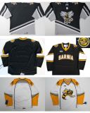 Customize Ohl Sarnia Sting Jersey Stitched Goalit Cut Hockey Jerseys