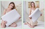 Nature Latex Pillow Healthy Pillow Thailand Standard Latex Pillow