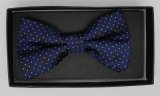 New Design Fashion Men's Woven Bow Tie (DSCN0017)