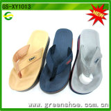 Latest China Wholesale Fashion EVA Flip Flop Sandal (GS-XY1013)