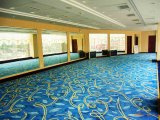 High Quality Wilton Carpet (R0010739)