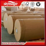 Fast Dry Anti-Curl 50GSM Sublimation Paper for Fashion Swimsuit, Swimwear