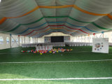 Transparent Roof Wedding Tent Event Party Tent for Sale