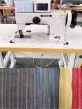 Heavy Duty Thick Thread Ornamental Stitching Sewing Machine