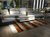 Home Decoration Fashion Rugs Household Modern New Style Shaggy Carpet