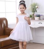 Flower Girl's Fashion Princess Dress in Various Colors