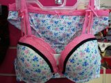 OEM High Quality of Women's Printing Underwire Bra and Panty Set