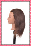 Wholesale 100% Human Hair Training Head 20inches for Beauty School