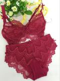 Nice Lace Transparent Cup Bra and Panty for Ladies (CS36111)