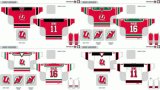 Customized American Hockey League Utica Devils Hockey Jersey