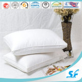 100% Cotton Polyester Pillow Case (SFM-15-185)