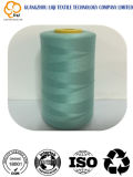 108d/2 100% Polyester Filament Embroidery Sewing Thread with Oeko-Tex100