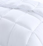 Different Color Soft and Warm Polyester Comforter (EA-10)
