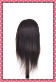 Natural Human Hair Training Head 16inches for Hair Style Training