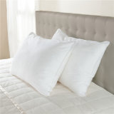Factory Direct Down Alternative Throw Pillow for Hotel and Home Used
