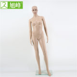 PP Material Skin Color Plastic Female Mannequins