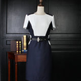 New Designs Model Women Formal Workwear One Pieces Lady Dress