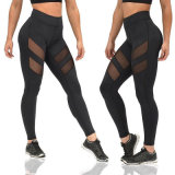 Wholesale Sexy Gym Great Stretch Sports Tights Yoga Leggings
