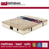 High Quality Natural Latex Spring Mattress with Soft Foam Fb739