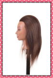 Wholesale 100% Human Hair Training Head 26inches for Beauty School