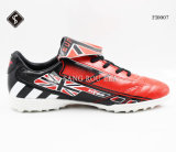 New Design Men Indoor Socce Shoes Sports Shoes