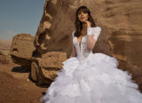 Hot Sale Ballgown Wedding Dress Birdal Gown (BH011)