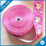 China Factory Direct Wholesales Color Garment Accessories Polyester Ribbon Webbing