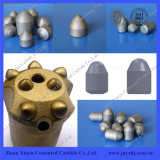 Various Sizes Carbide Buttons Hip Sintered Tungsten Carbide Buttons