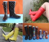 Various Waterproof Rubber Rain Boot, Colourful Women Rubber Boot, Wellington Boot