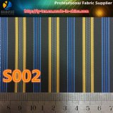 Polyester Stripe Textile Fabric in Cash Commodity for Jacket (S2.5)