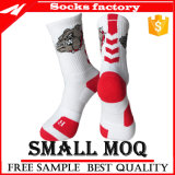 Custom Fashionable Sport Socks in Various Designs and Sizes