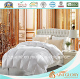 Best Selling Down Duvet White Goose Feather and Down Quilt