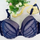 Brand Big Size Bra Stock Products