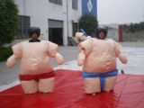 Funny Sports Game Inflatable Sumo Suit (MC062)