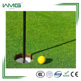 Carpet Grass Price for Golf