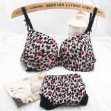 Fashion Leopard Girls Fantasy Bra Panty (EPB150)