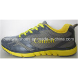 Mesh Fabric Sports Shoes Fashion Shoe Casual Shoes