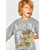 Factory Boy's Pterosaur Printed T Shirt
