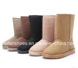 Warm Women Suede Leisure Snow Boots for Winter (FF-1)