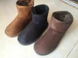 Winter Women Boots, New Stocks