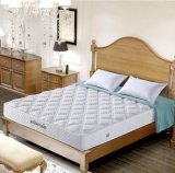 2017 Furniture - Trend Spring Bed Mattress