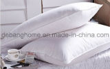100% Cotton Hotel Pillow Polyester Neck Pillow
